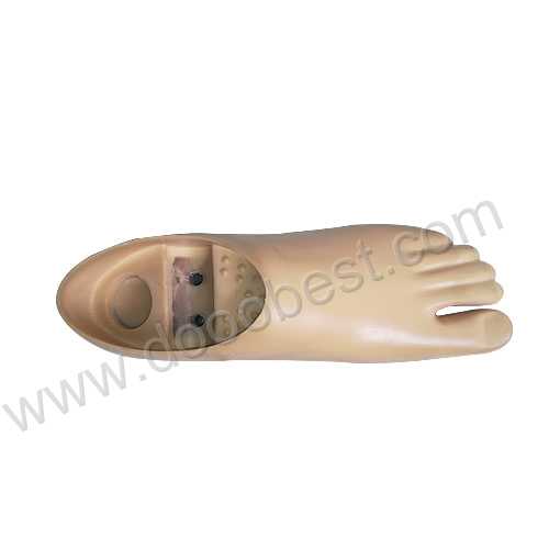 Prosthetic Part-Double Axis Dynamic Foot