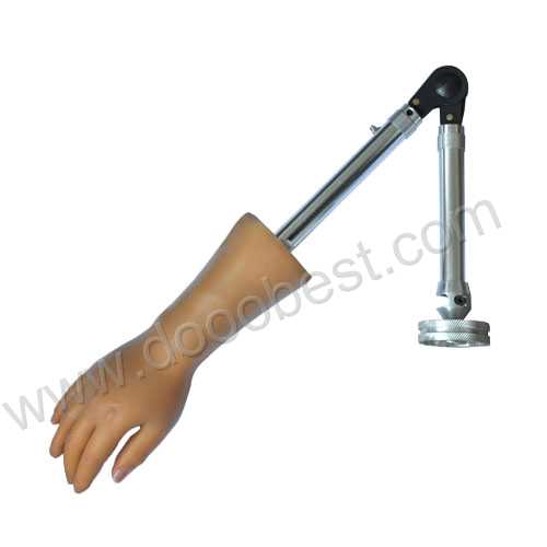 Foaming cosmetic hand for above-elbow