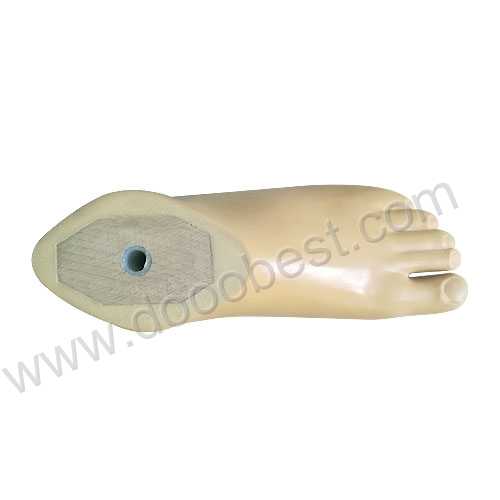 Prosthetic Part-Sach Foot 